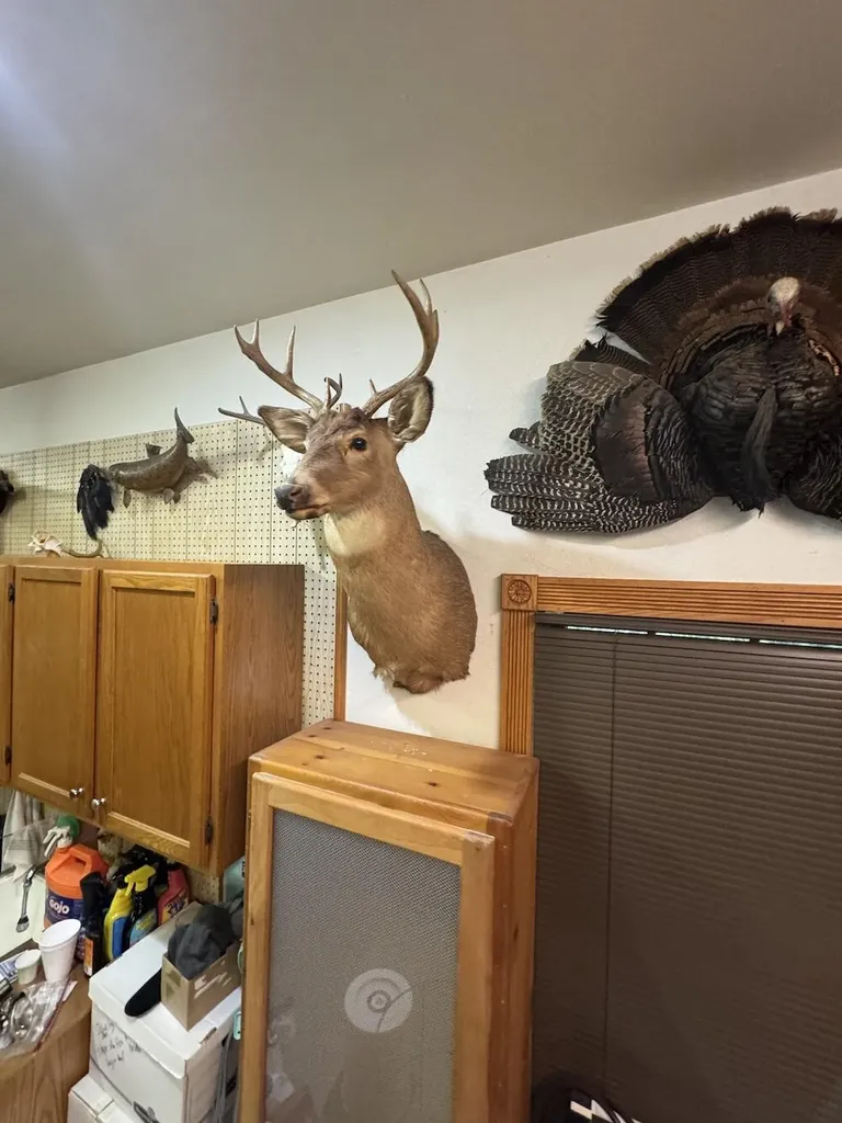 850 Jessica Lane Cumming Township MI 48654