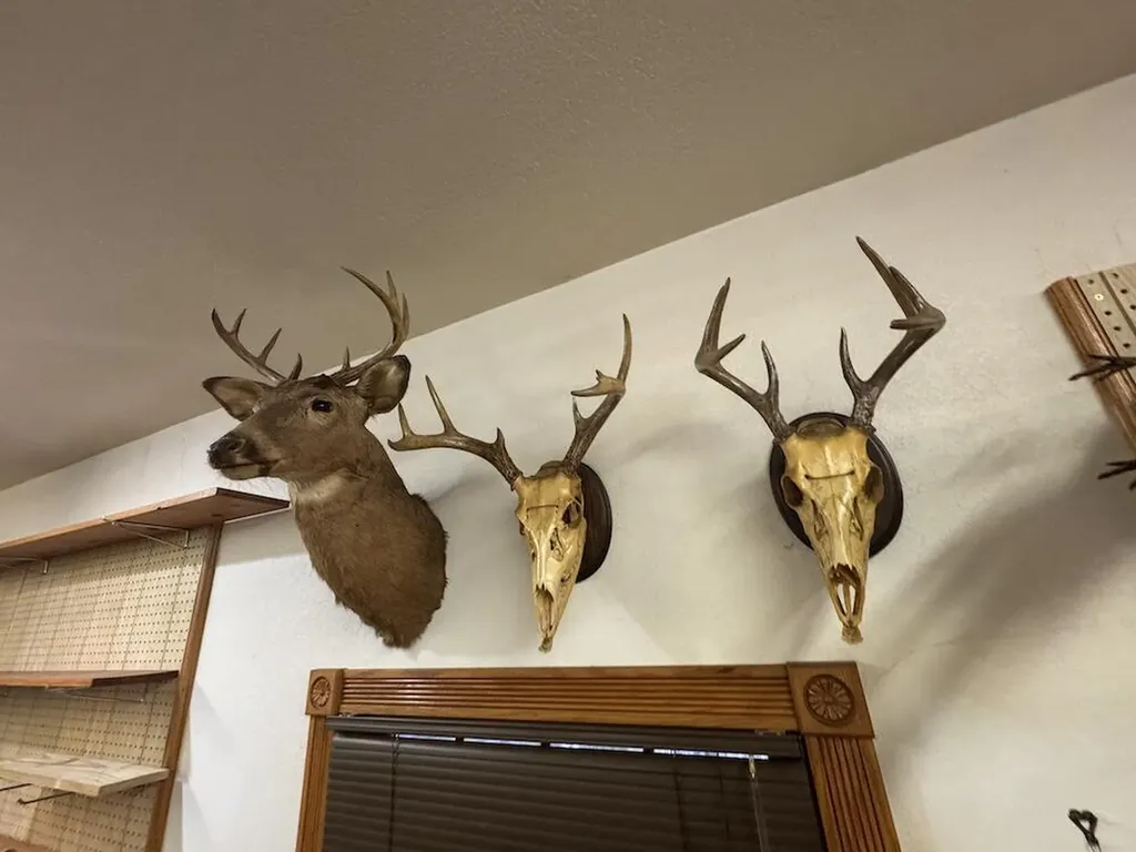 850 Jessica Lane Cumming Township MI 48654
