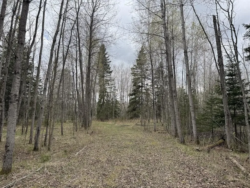 850 Jessica Lane Cumming Township MI 48654