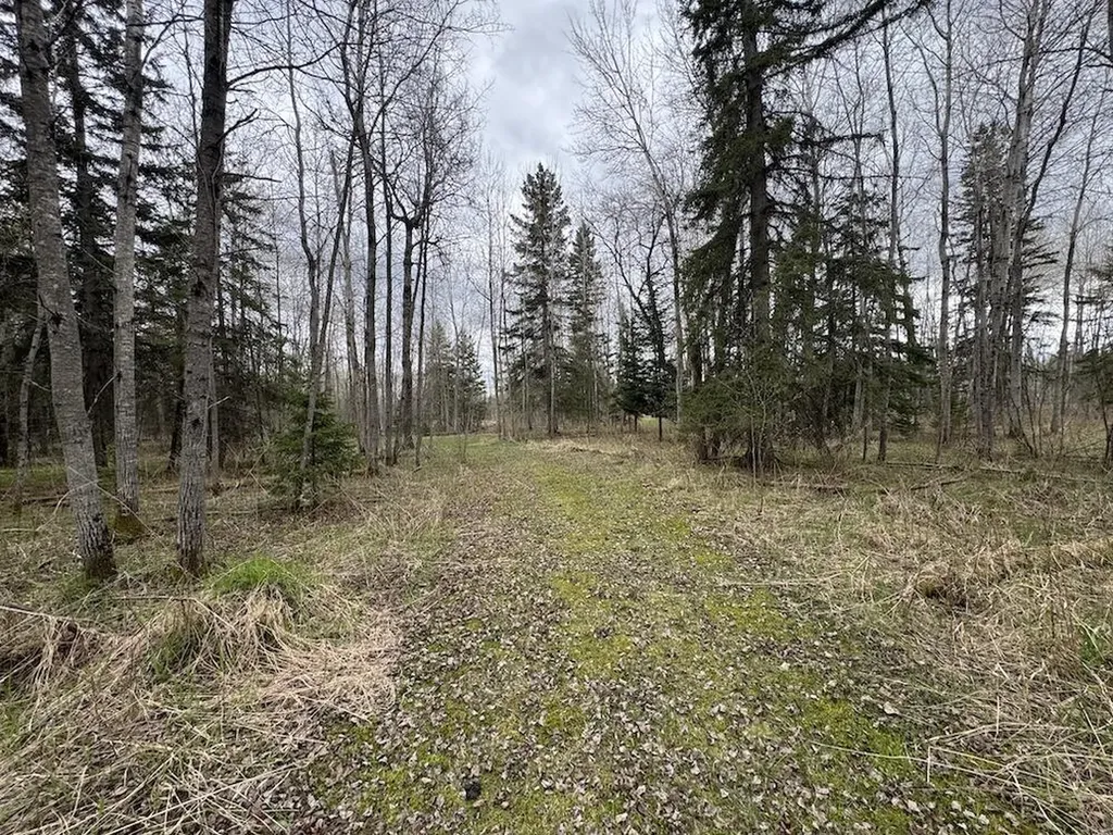 850 Jessica Lane Cumming Township MI 48654