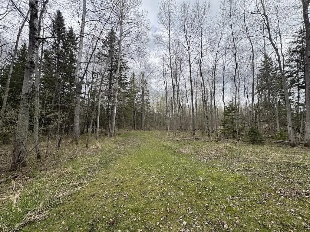 850 Jessica Lane Cumming Township MI 48654