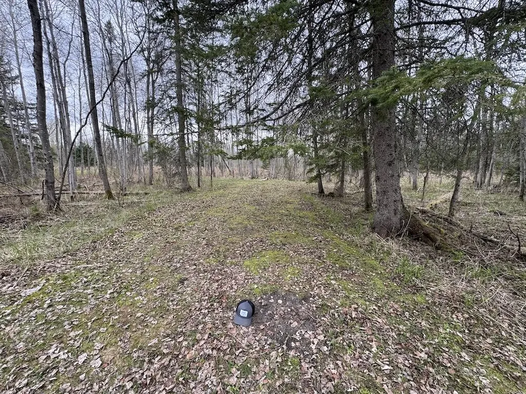 850 Jessica Lane Cumming Township MI 48654