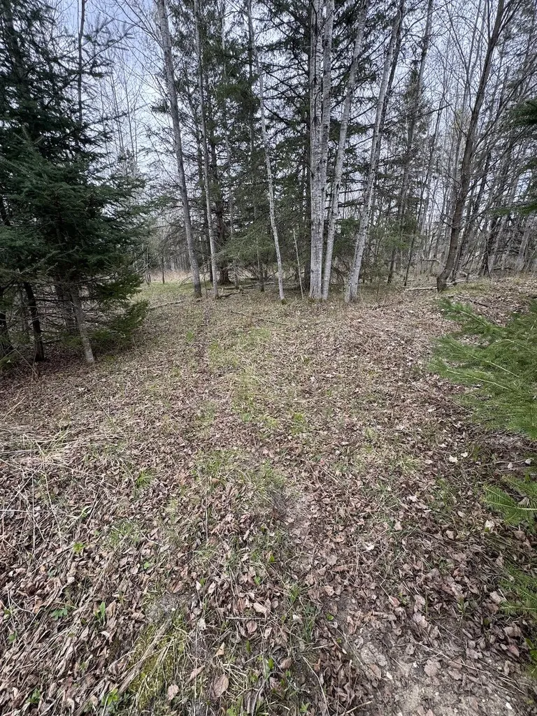 850 Jessica Lane Cumming Township MI 48654