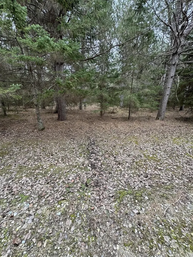 850 Jessica Lane Cumming Township MI 48654