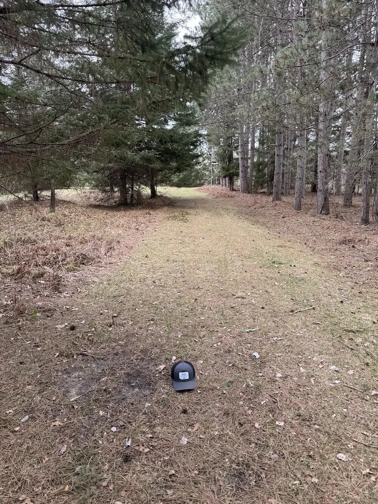 850 Jessica Lane Cumming Township MI 48654