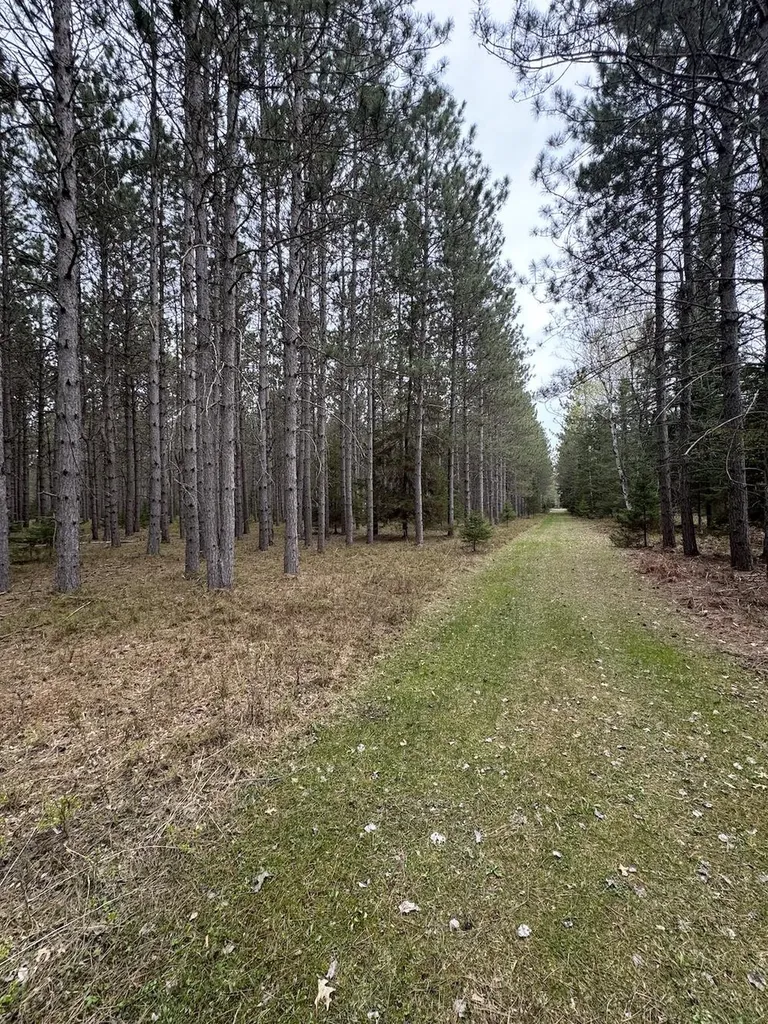 850 Jessica Lane Cumming Township MI 48654