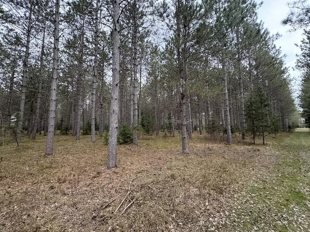 850 Jessica Lane Cumming Township MI 48654