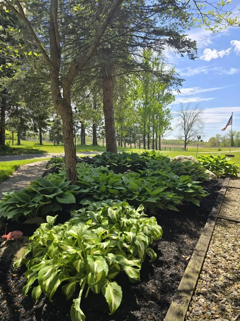 27546 Wait Road Sherman Township MI 49091