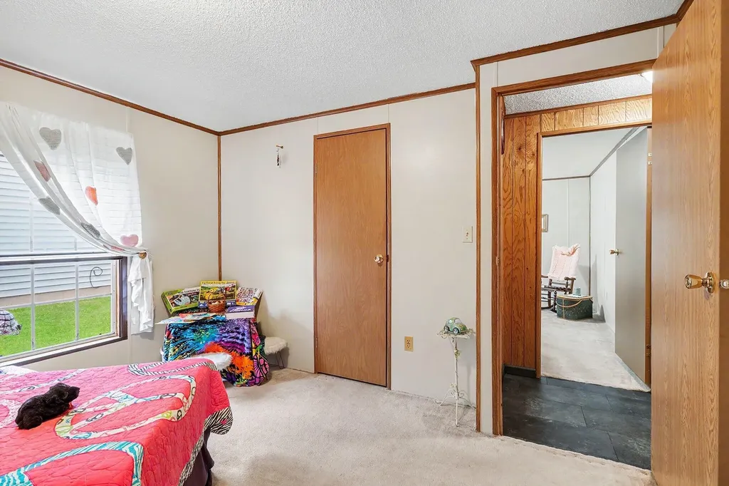 234 Birkhold Street Centreville Village MI 49032