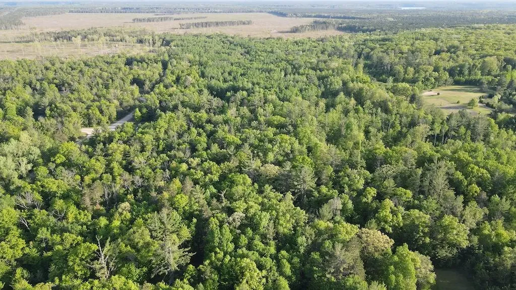4335 Kings Corner Road Oscoda Charter Township MI 48737