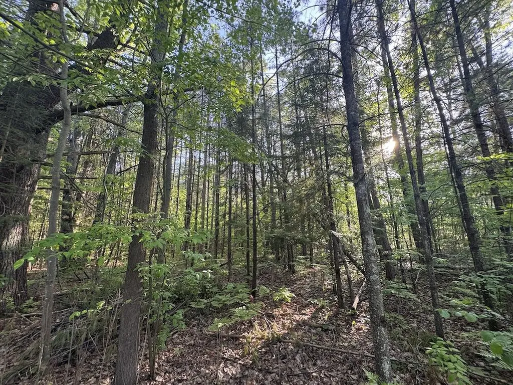 4335 Kings Corner Road Oscoda Charter Township MI 48737