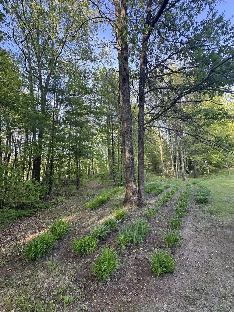 4335 Kings Corner Road Oscoda Charter Township MI 48737