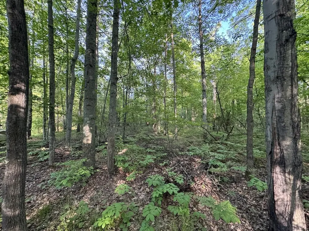 4335 Kings Corner Road Oscoda Charter Township MI 48737