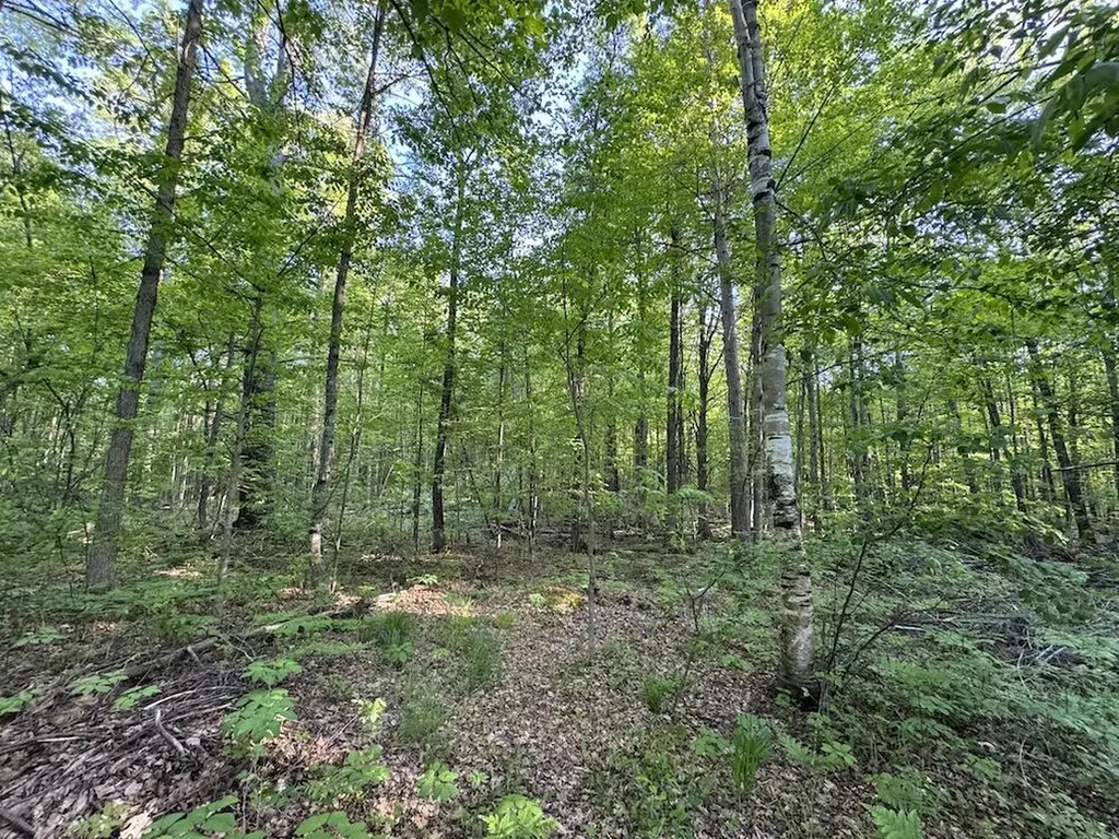 4335 Kings Corner Road Oscoda Charter Township MI 48737