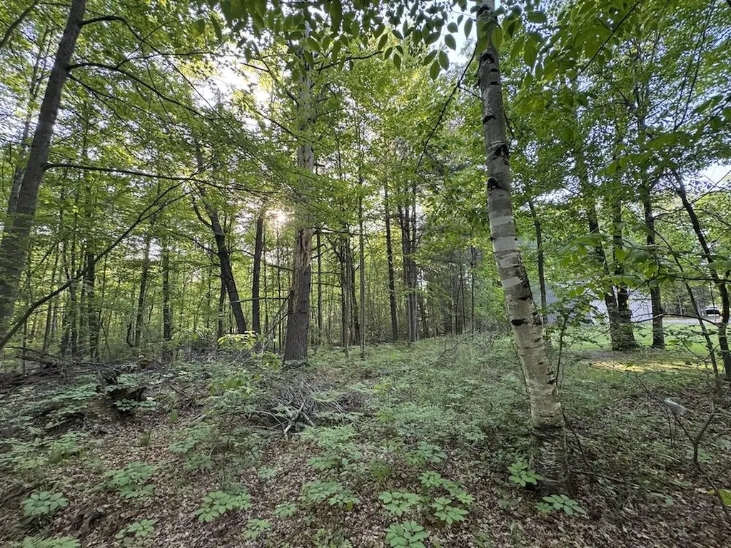 4335 Kings Corner Road Oscoda Charter Township MI 48737