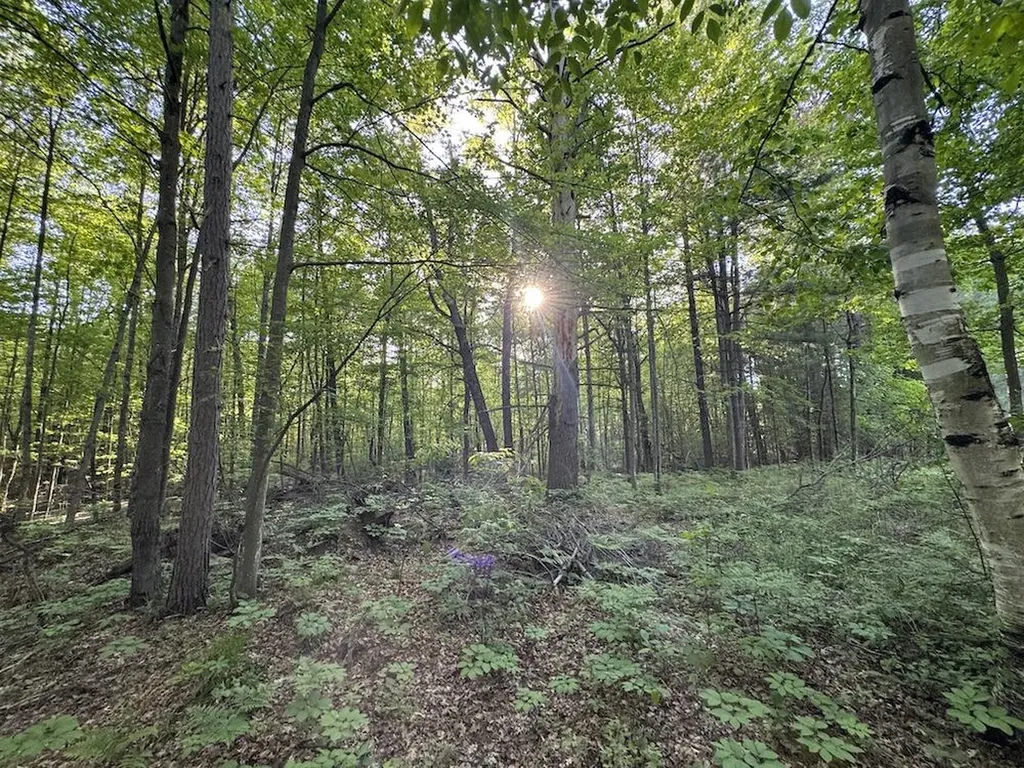 4335 Kings Corner Road Oscoda Charter Township MI 48737