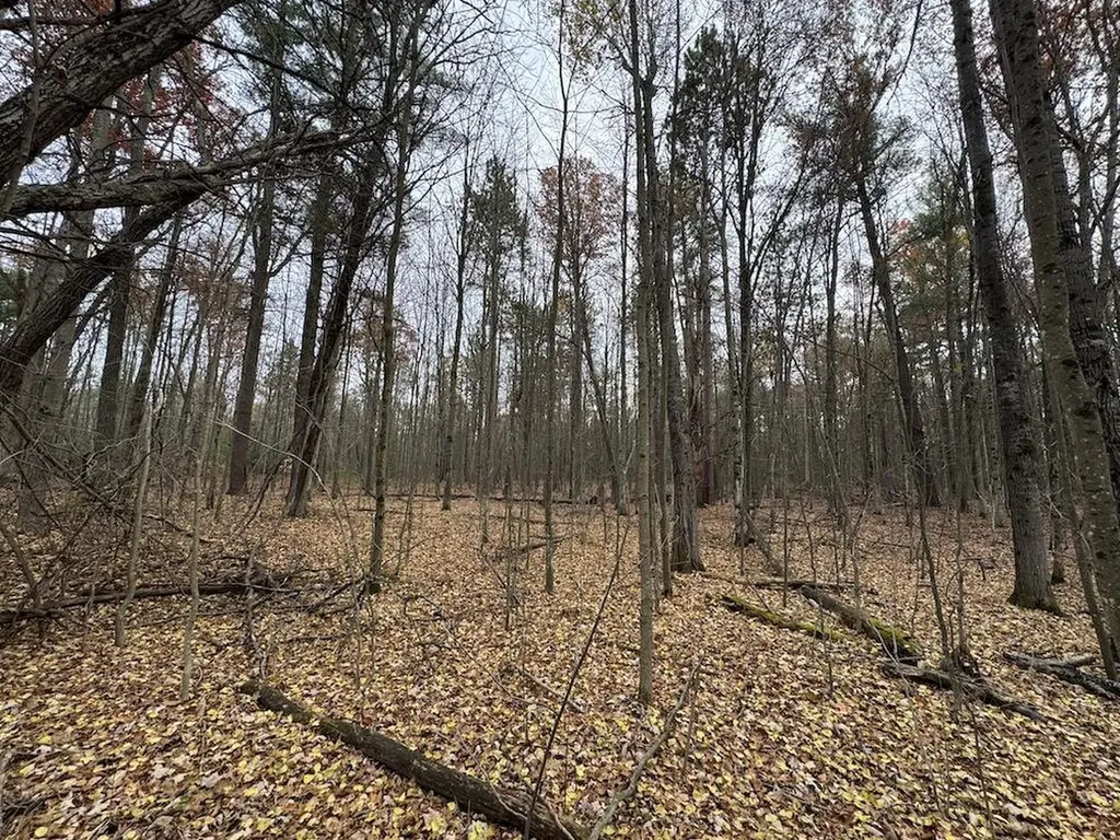 4335 Kings Corner Road Oscoda Charter Township MI 48737