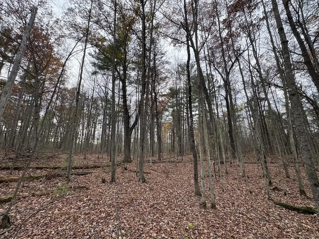 4335 Kings Corner Road Oscoda Charter Township MI 48737
