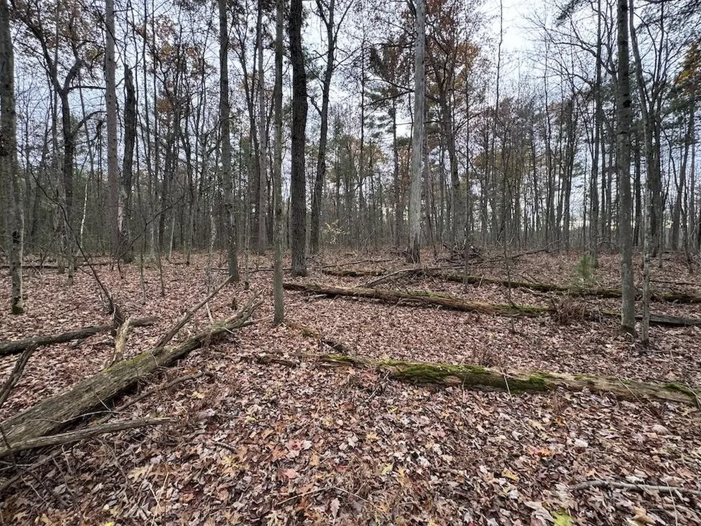 4335 Kings Corner Road Oscoda Charter Township MI 48737