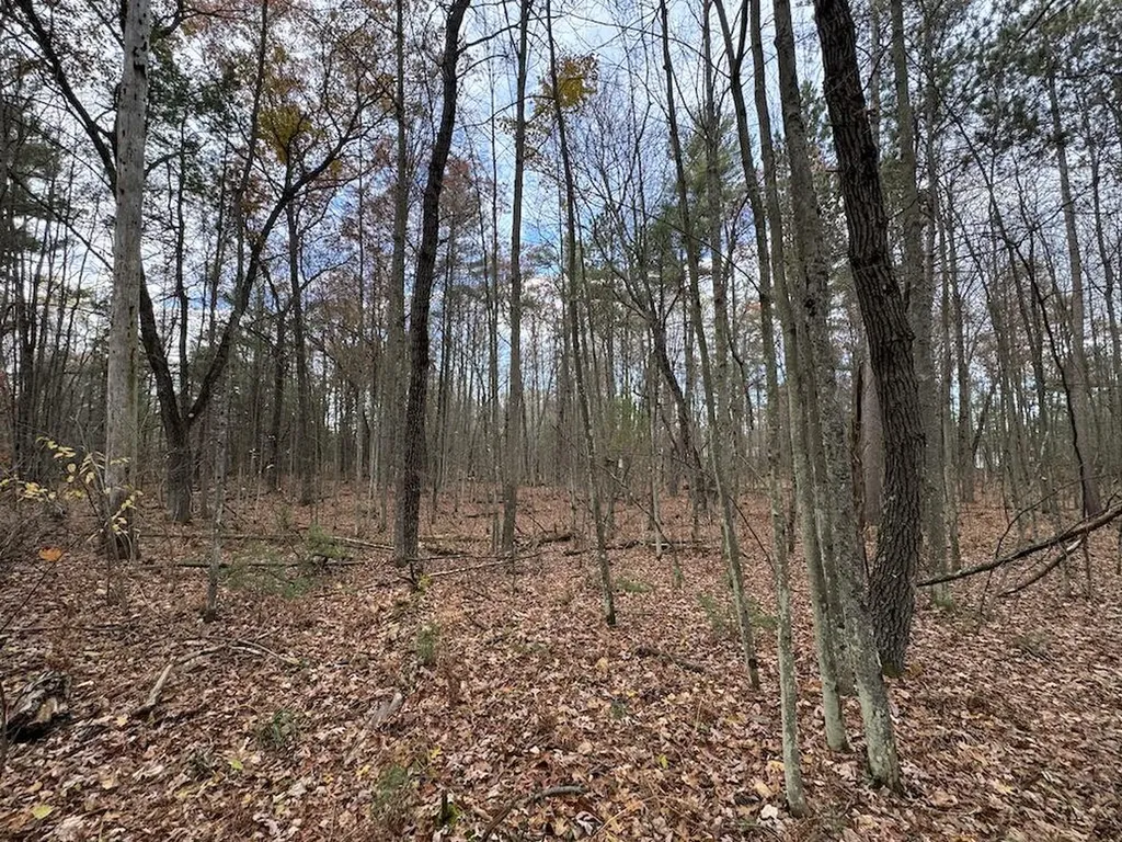 4335 Kings Corner Road Oscoda Charter Township MI 48737