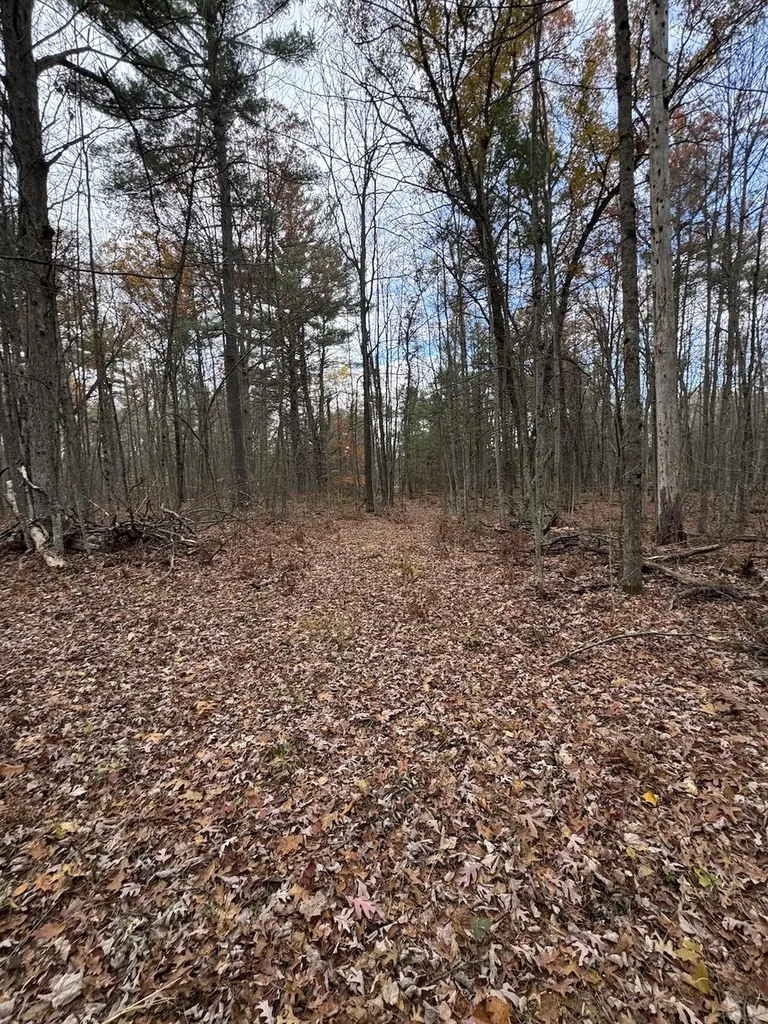 4335 Kings Corner Road Oscoda Charter Township MI 48737