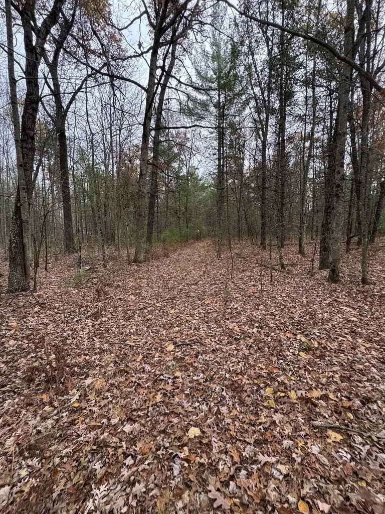 4335 Kings Corner Road Oscoda Charter Township MI 48737