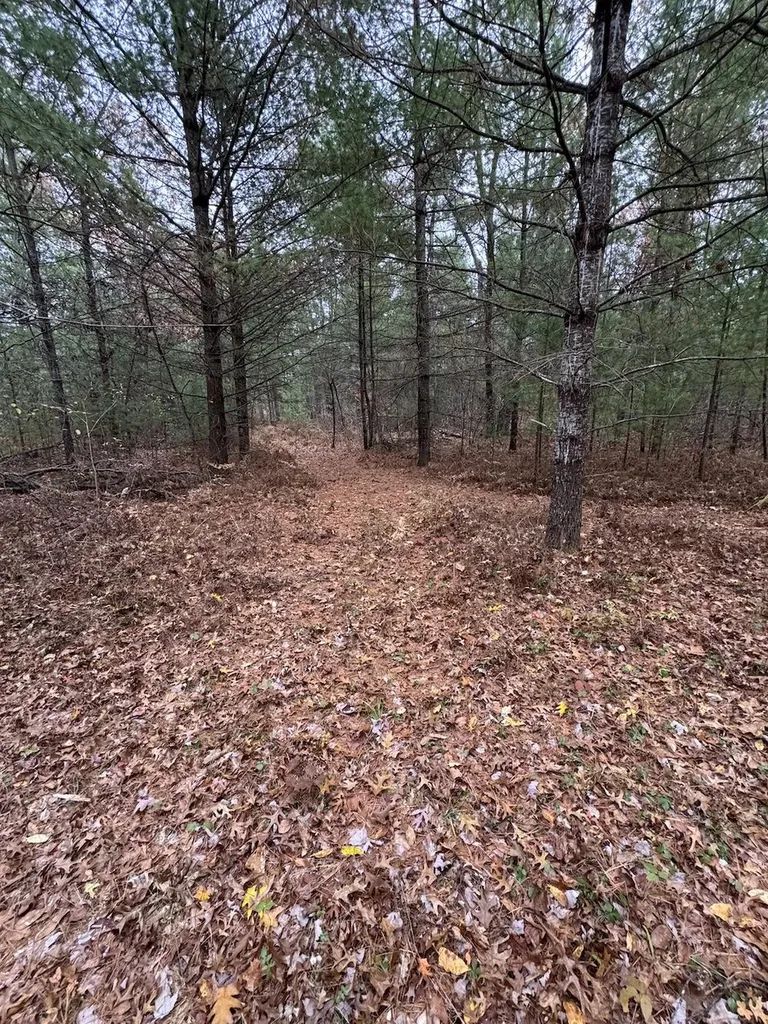 4335 Kings Corner Road Oscoda Charter Township MI 48737