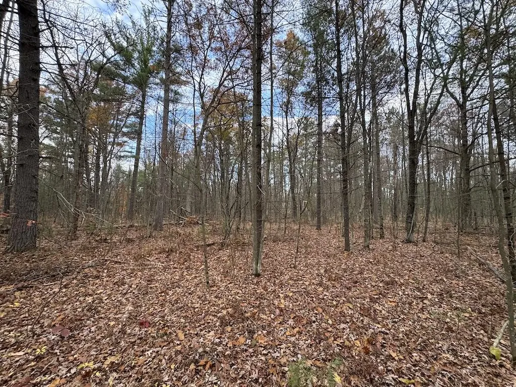 4335 Kings Corner Road Oscoda Charter Township MI 48737