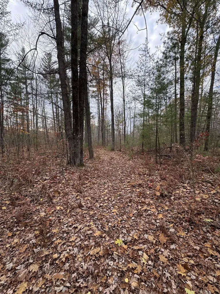 4335 Kings Corner Road Oscoda Charter Township MI 48737