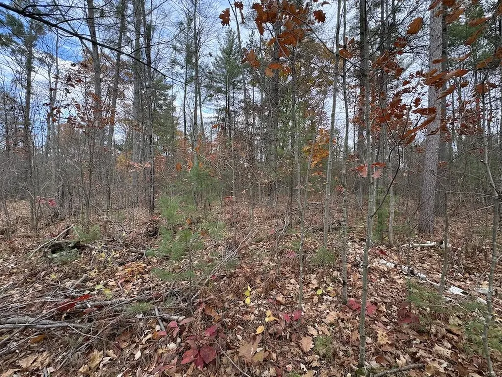 4335 Kings Corner Road Oscoda Charter Township MI 48737