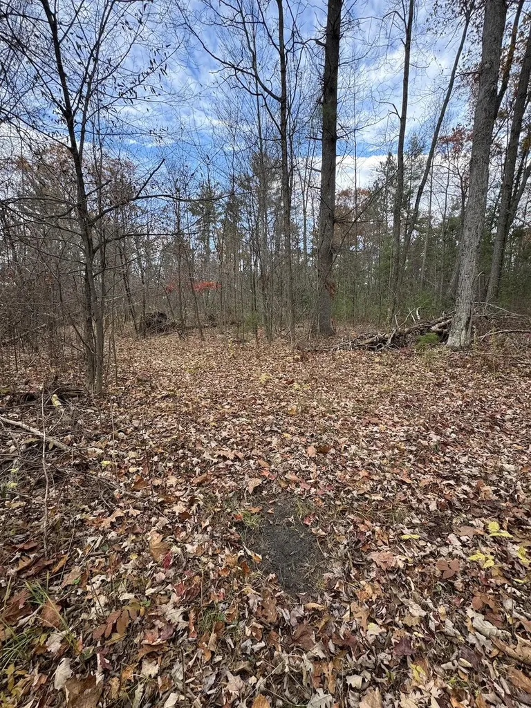 4335 Kings Corner Road Oscoda Charter Township MI 48737