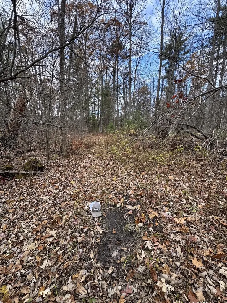 4335 Kings Corner Road Oscoda Charter Township MI 48737