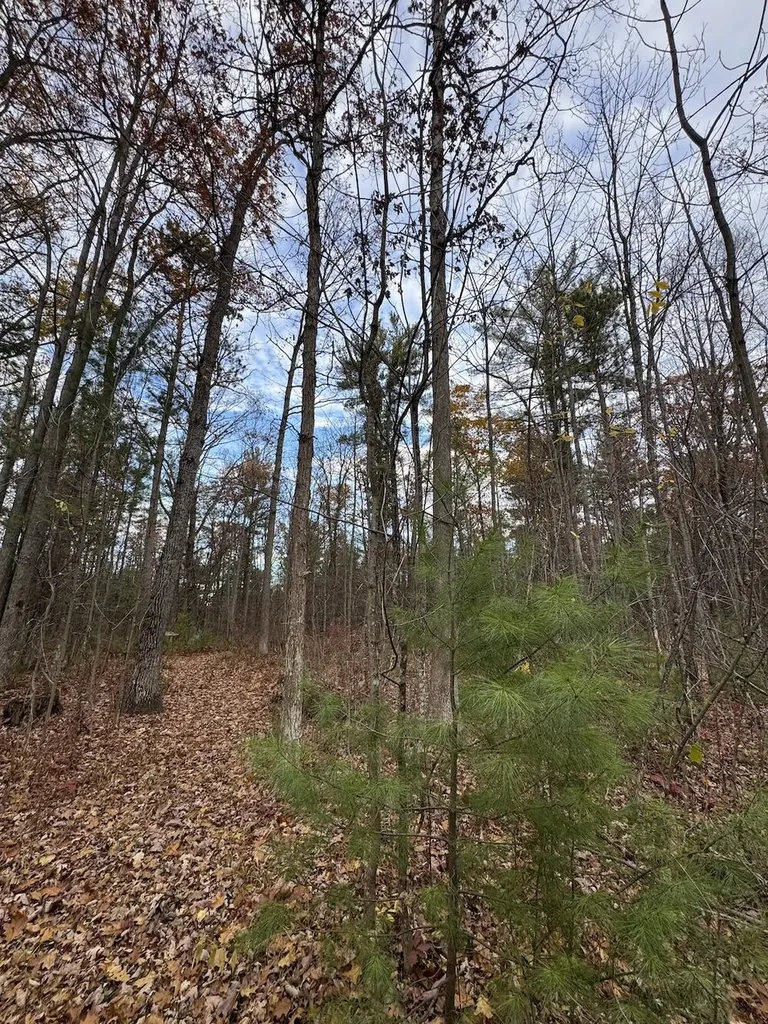 4335 Kings Corner Road Oscoda Charter Township MI 48737