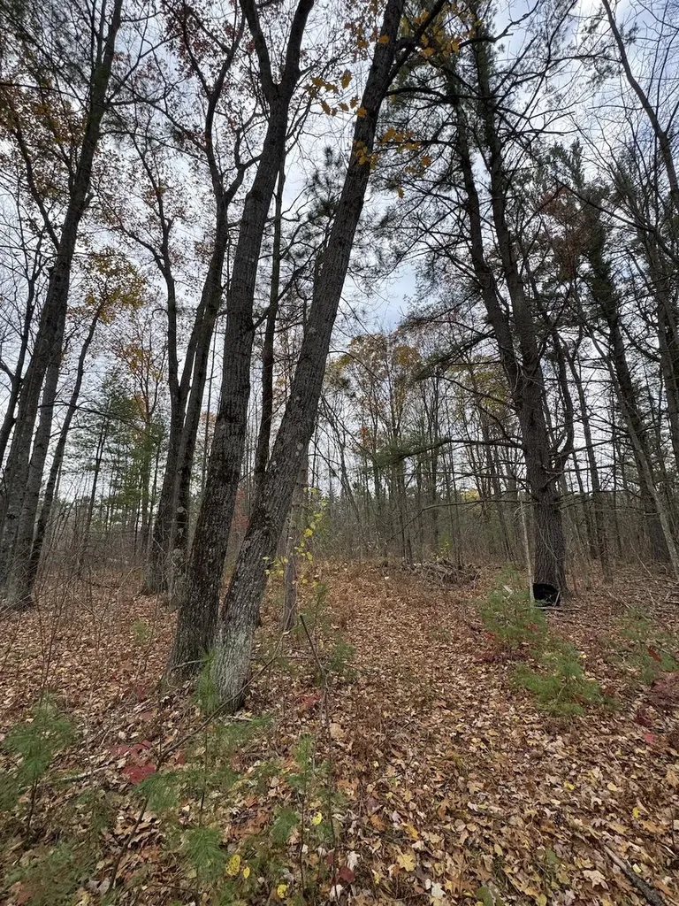 4335 Kings Corner Road Oscoda Charter Township MI 48737