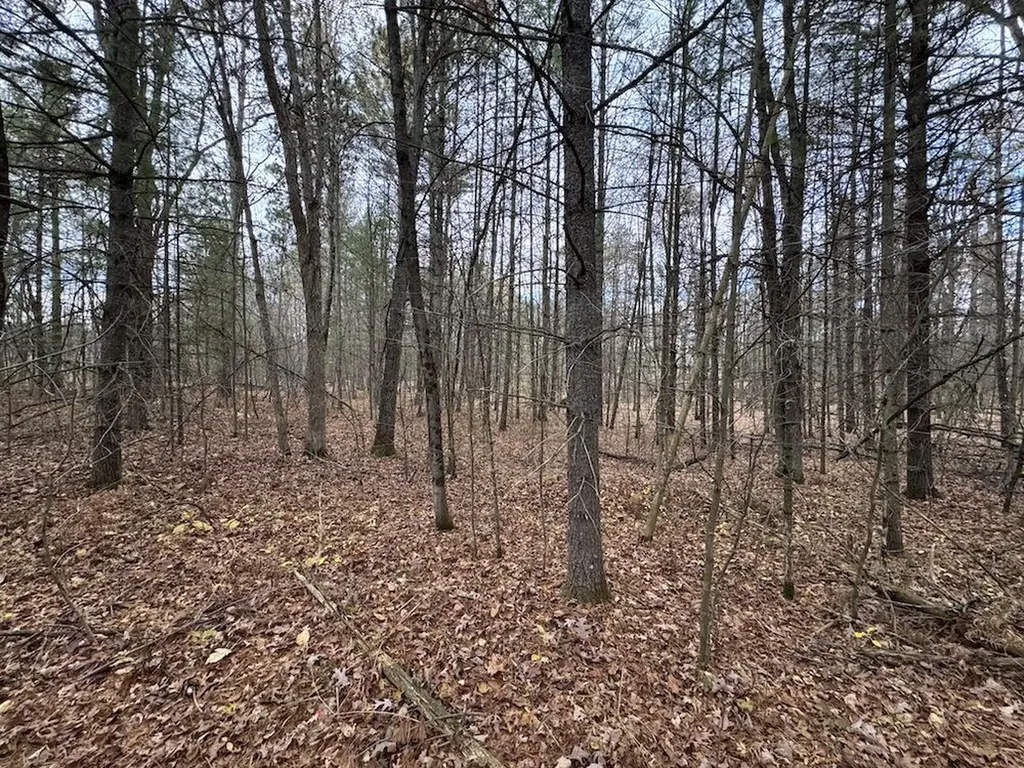 4335 Kings Corner Road Oscoda Charter Township MI 48737