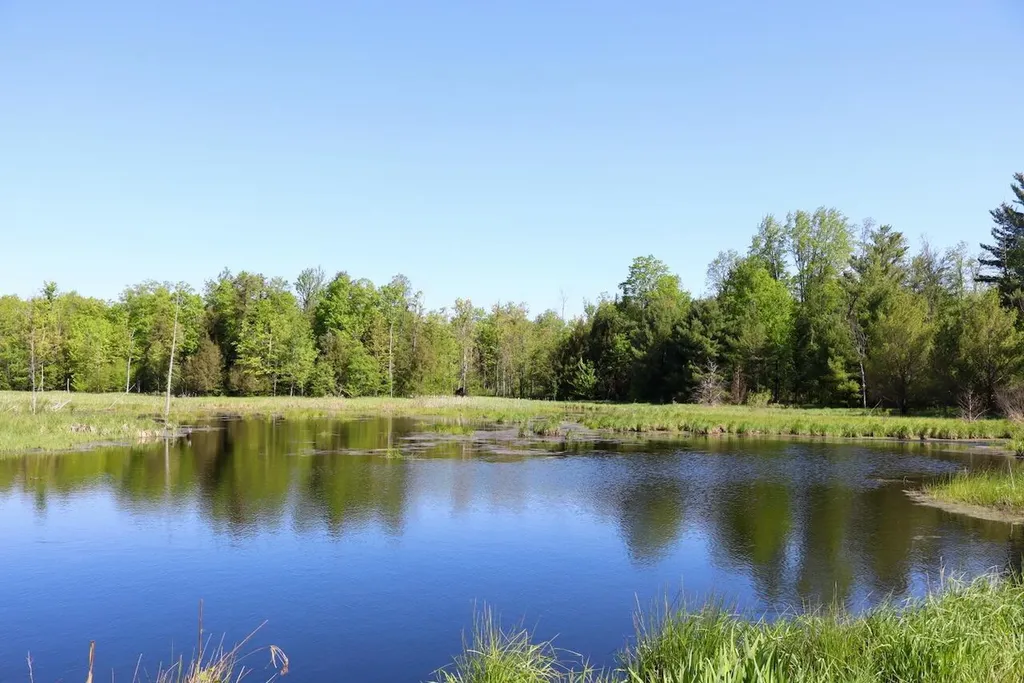 11547 E 1 Mile Road Ellsworth Township MI 49655