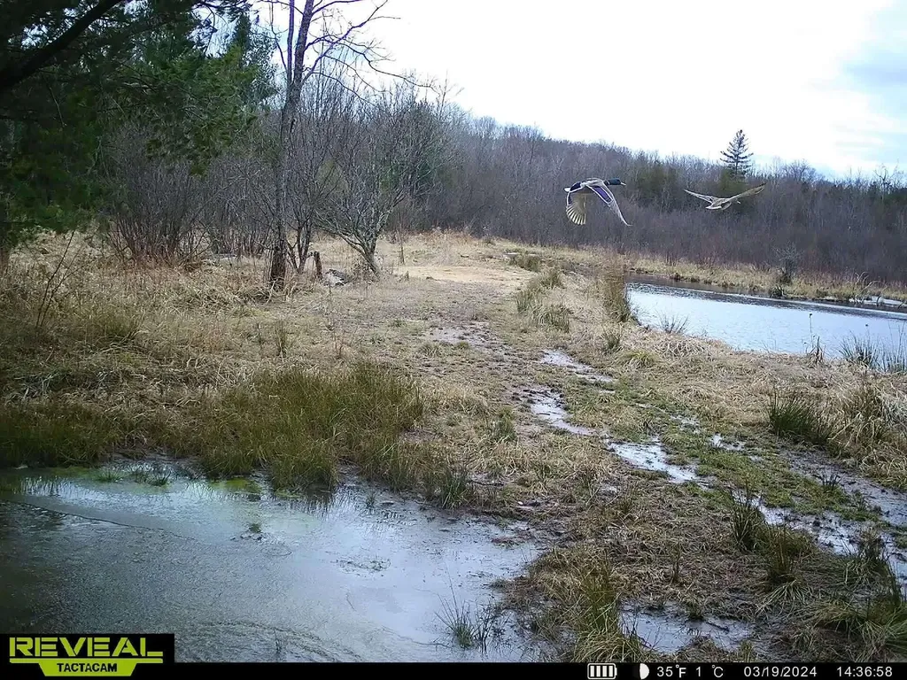 11547 E 1 Mile Road Ellsworth Township MI 49655