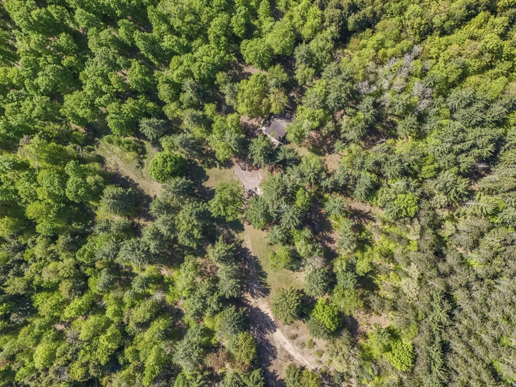 11547 E 1 Mile Road Ellsworth Township MI 49655