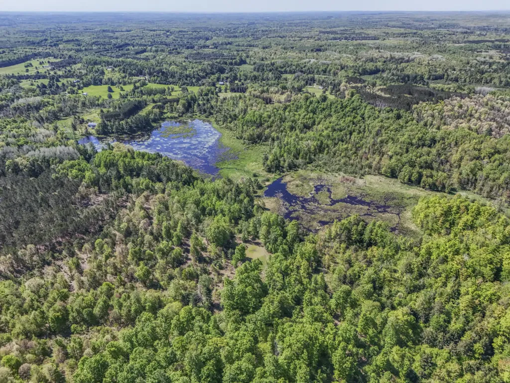 11547 E 1 Mile Road Ellsworth Township MI 49655