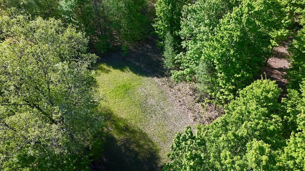 11547 E 1 Mile Road Ellsworth Township MI 49655