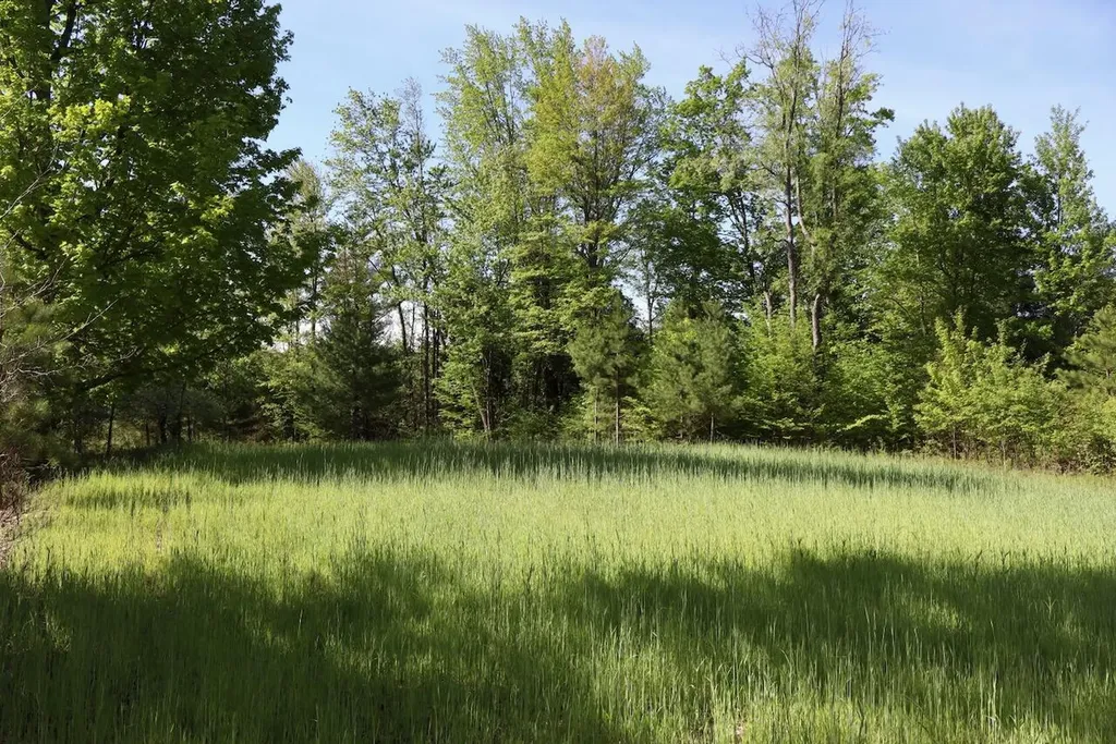 11547 E 1 Mile Road Ellsworth Township MI 49655