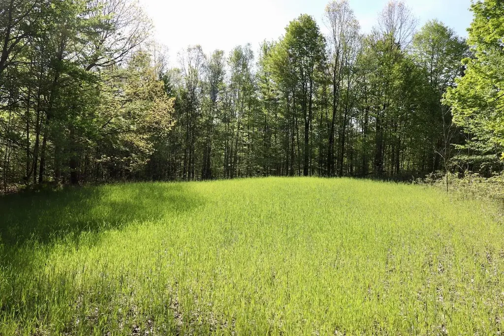 11547 E 1 Mile Road Ellsworth Township MI 49655