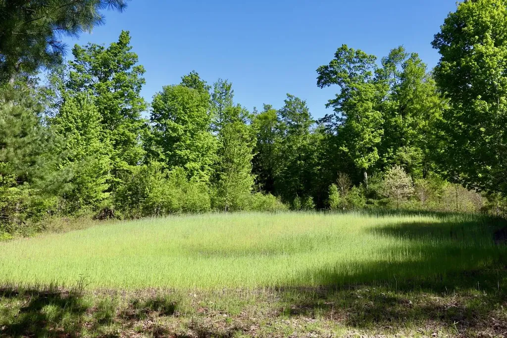 11547 E 1 Mile Road Ellsworth Township MI 49655