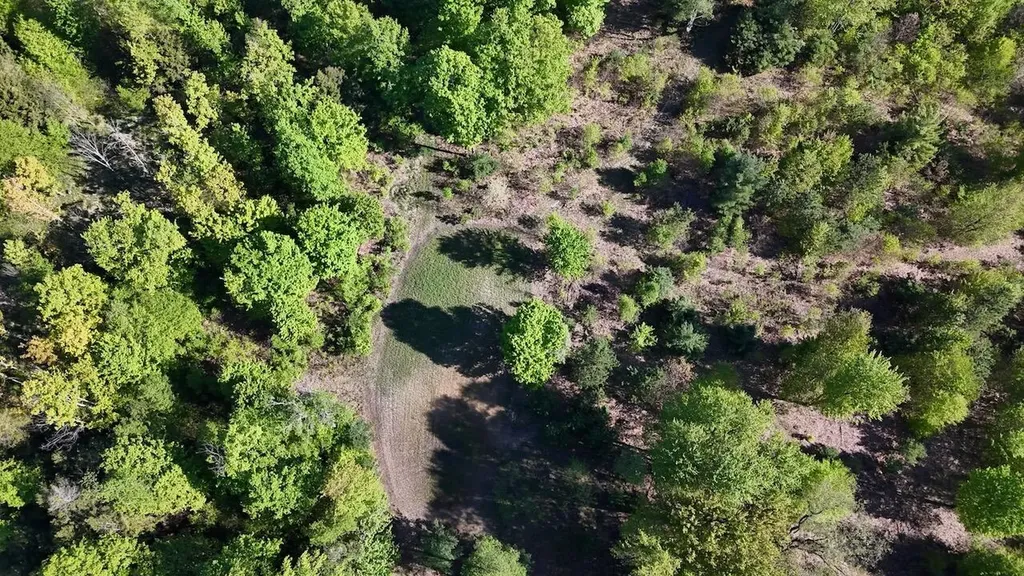 11547 E 1 Mile Road Ellsworth Township MI 49655