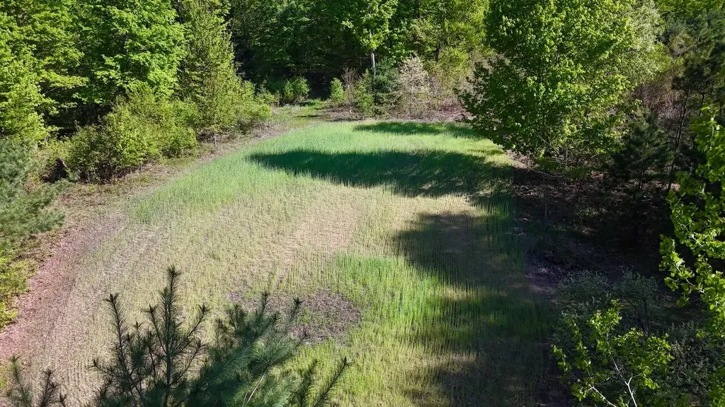 11547 E 1 Mile Road Ellsworth Township MI 49655