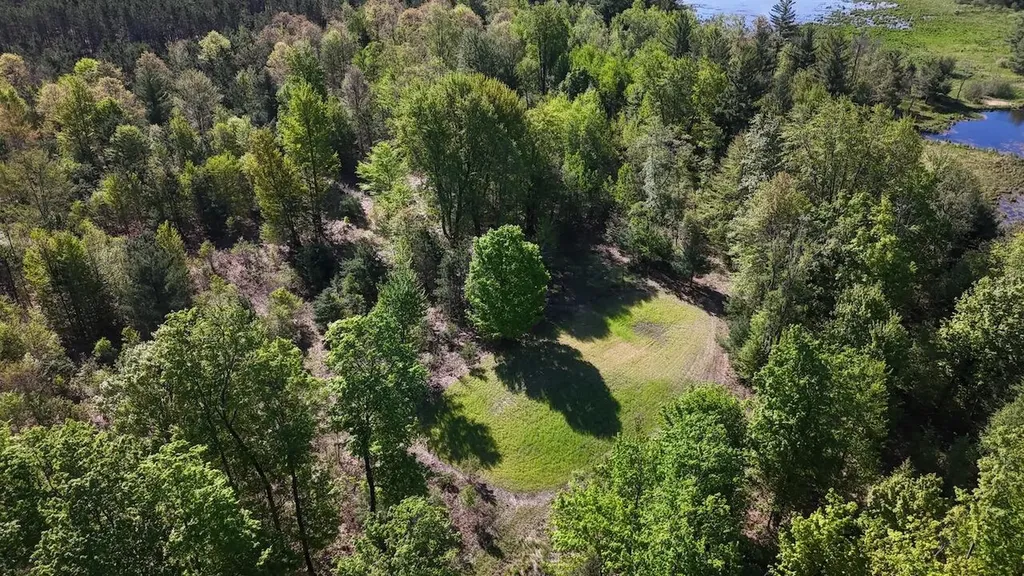 11547 E 1 Mile Road Ellsworth Township MI 49655