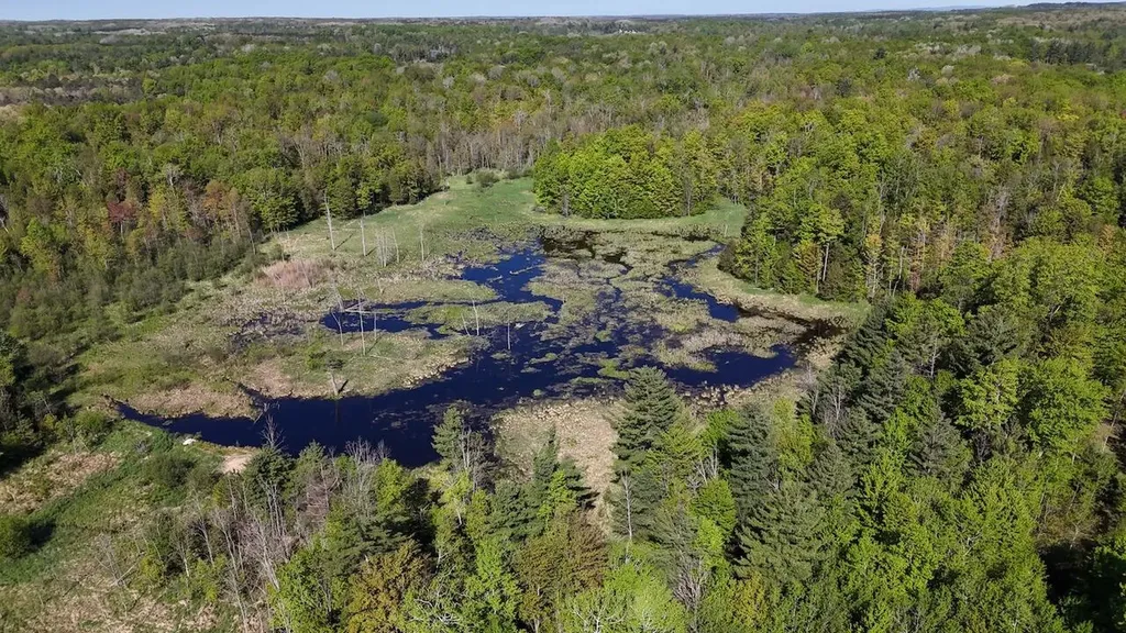 11547 E 1 Mile Road Ellsworth Township MI 49655