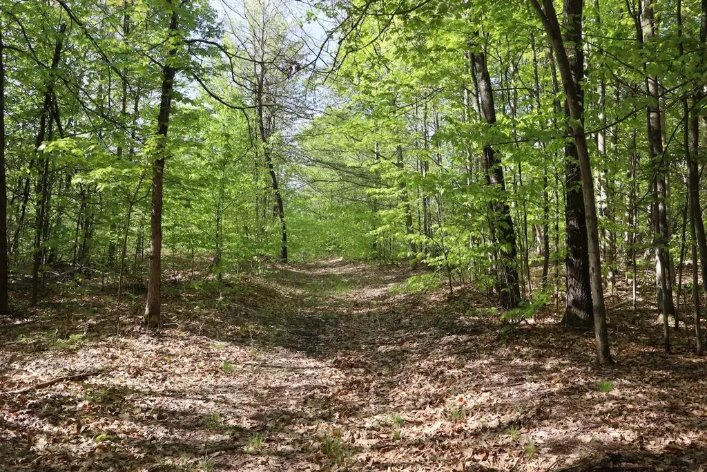 11547 E 1 Mile Road Ellsworth Township MI 49655