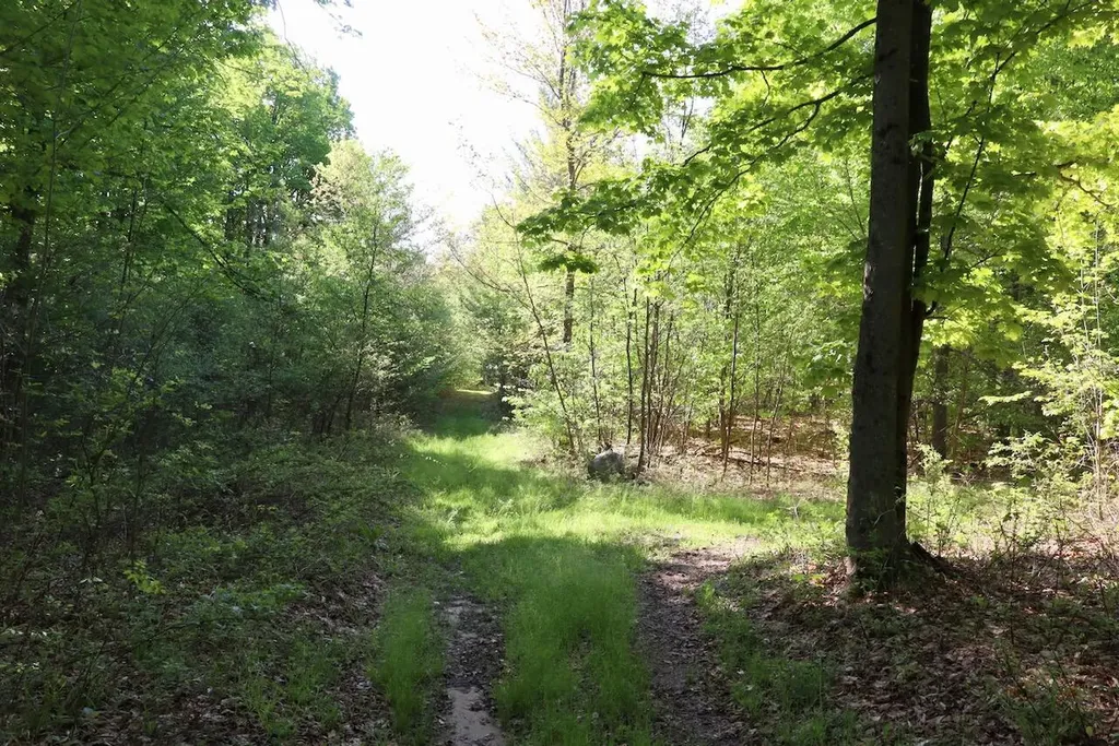 11547 E 1 Mile Road Ellsworth Township MI 49655