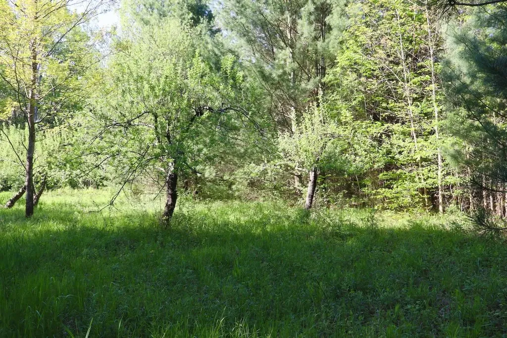 11547 E 1 Mile Road Ellsworth Township MI 49655